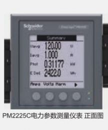 PM2000 電力參數(shù)測量儀表